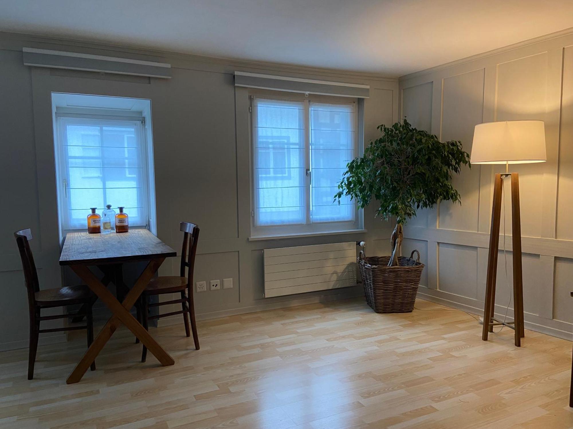 Understadt 14 Guesthouse Stein Am Rhein Εξωτερικό φωτογραφία