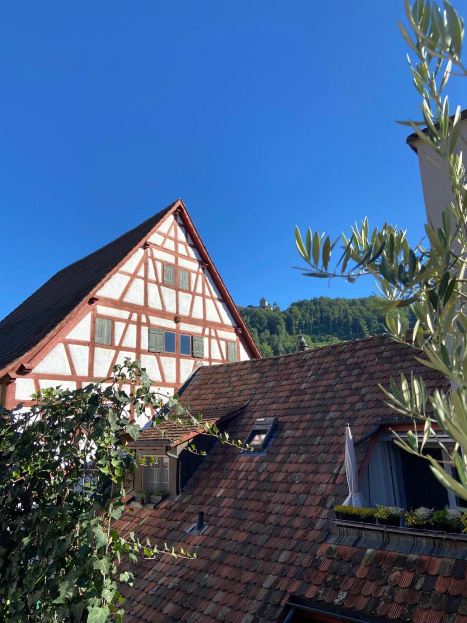 Understadt 14 Guesthouse Stein Am Rhein Εξωτερικό φωτογραφία